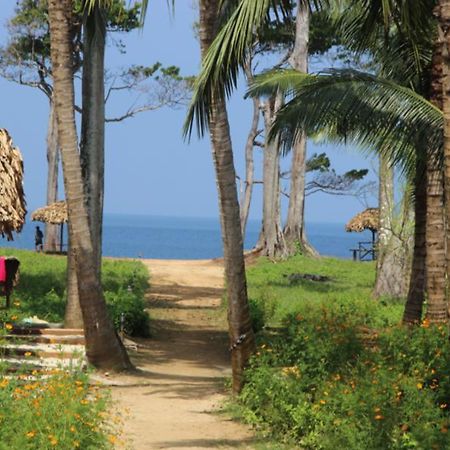 Pearl Park Beach Resort-Neil Island Lakshmanpur Екстериор снимка