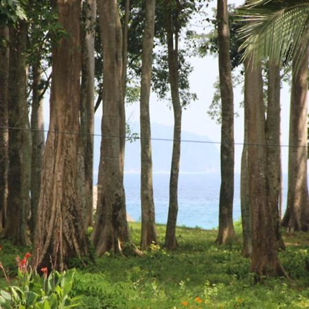 Pearl Park Beach Resort-Neil Island Lakshmanpur Екстериор снимка